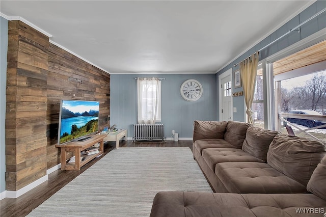 living area with radiator, baseboards, dark wood finished floors, and crown molding