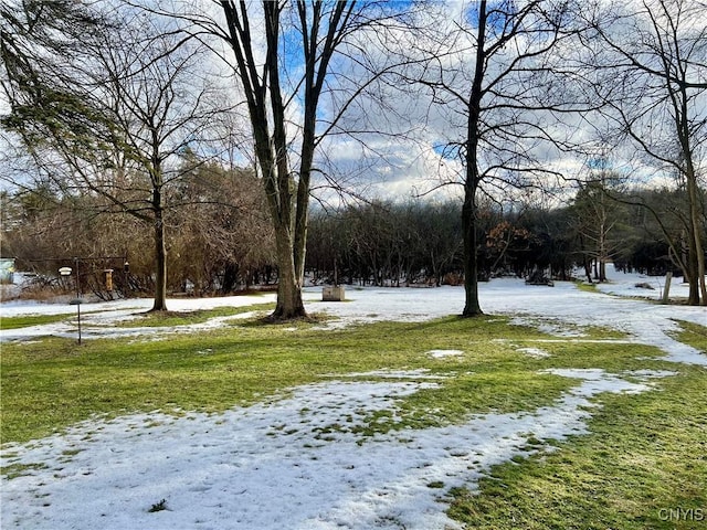 view of yard layered in snow