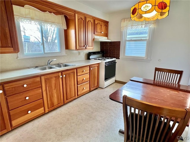 kitchen featuring white gas range oven, brown cabinetry, light countertops, under cabinet range hood, and a sink