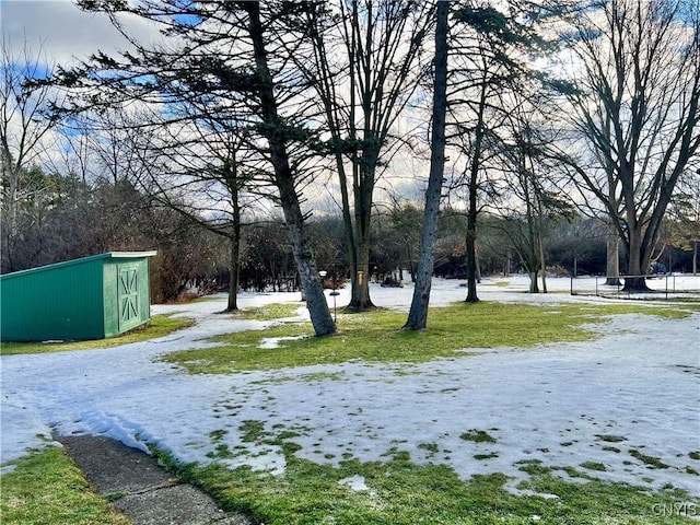 view of yard featuring an outdoor structure and a shed