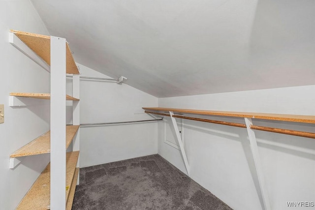 spacious closet with vaulted ceiling and carpet floors