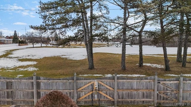 view of yard with fence and a gate