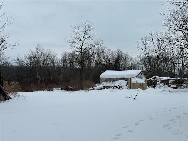 view of yard covered in snow