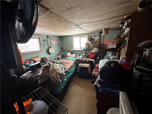 miscellaneous room with carpet flooring