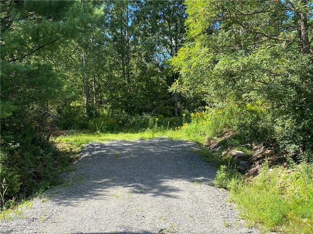 26242 State Highway 23, Harpersfield, NY 13786