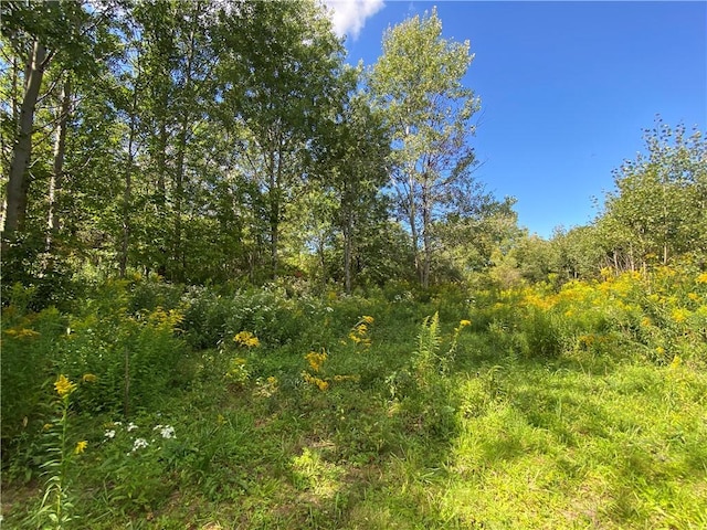 26242 State Highway 23, Harpersfield, NY 13786