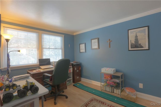 office area featuring baseboards, wood finished floors, and crown molding