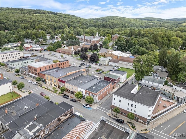 79-81 Main St, Sidney, NY 13838 - bird's eye view featuring a wooded view