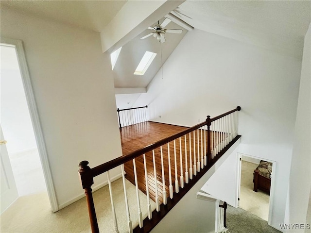 stairway with carpet, beam ceiling, a skylight, a ceiling fan, and high vaulted ceiling