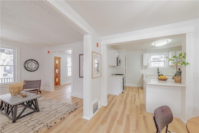 interior space featuring light wood finished floors, visible vents, and a wealth of natural light