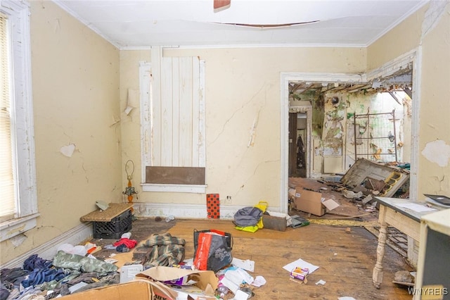 interior space featuring ornamental molding and wood finished floors