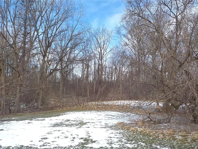 view of yard covered in snow