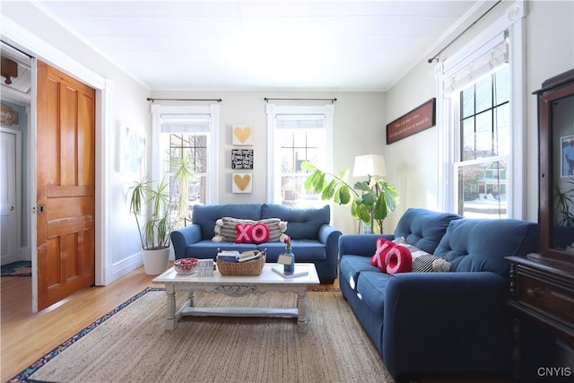 living area featuring crown molding, baseboards, and wood finished floors