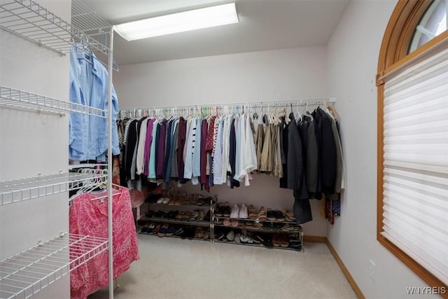 spacious closet with carpet floors