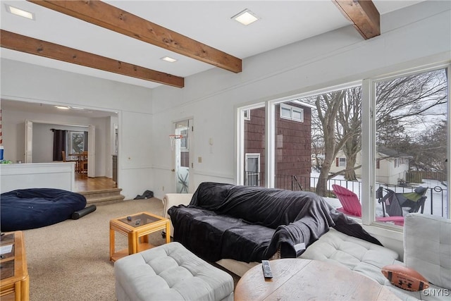 carpeted living room with beam ceiling