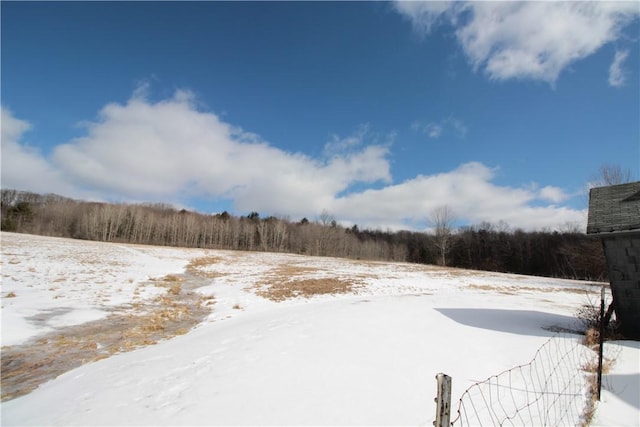 view of snowy yard