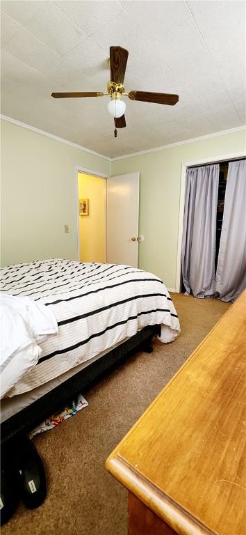 bedroom with carpet floors, a ceiling fan, and crown molding