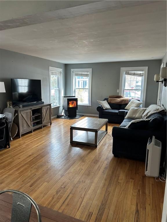 living area featuring a wood stove and wood finished floors