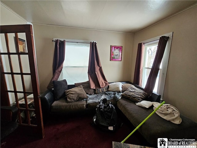 bedroom with carpet floors