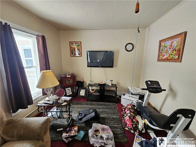 living area with ornamental molding