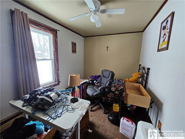 carpeted office featuring ceiling fan and ornamental molding