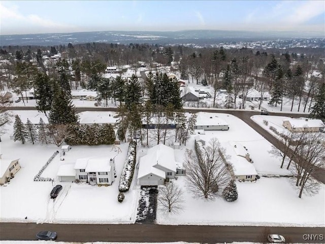 view of snowy aerial view