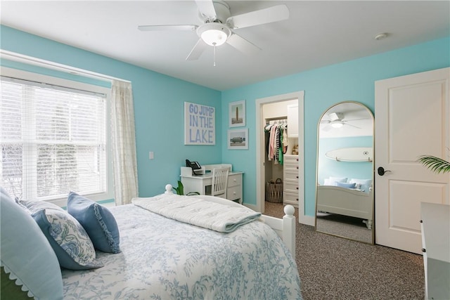 carpeted bedroom with ceiling fan, baseboards, and a walk in closet