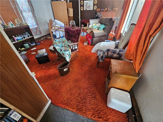 living area featuring carpet flooring