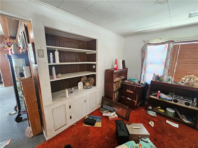 interior space featuring built in shelves and carpet flooring