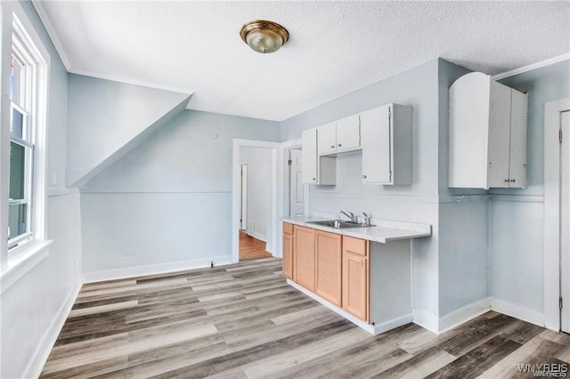 kitchen featuring light wood-style floors, light countertops, a healthy amount of sunlight, and a sink