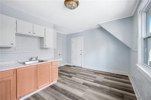 kitchen featuring light countertops, a sink, light wood-style flooring, and baseboards