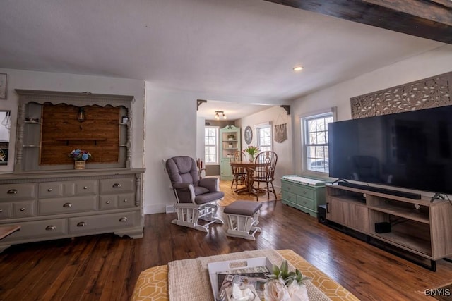 living room with dark wood-type flooring, plenty of natural light, and baseboards