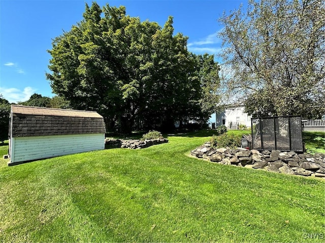 view of yard with a shed and an outdoor structure