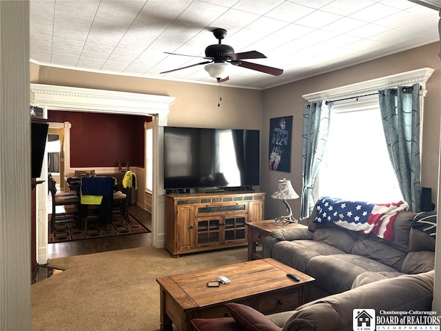 living area featuring ceiling fan, ornamental molding, and carpet flooring