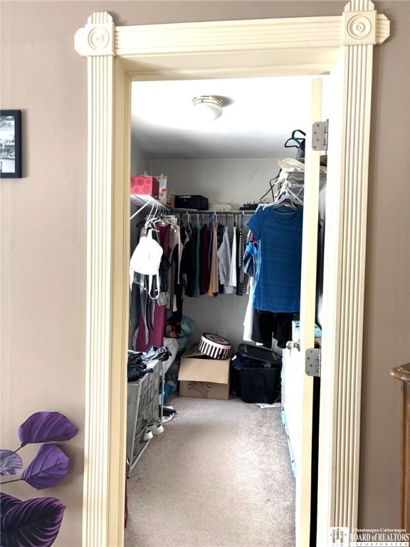 spacious closet featuring carpet flooring