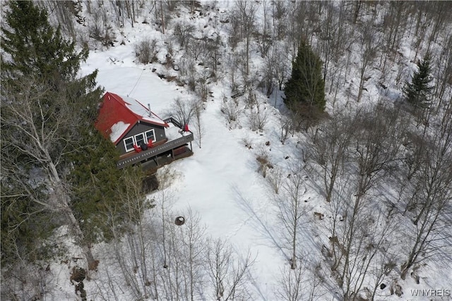 view of snowy aerial view