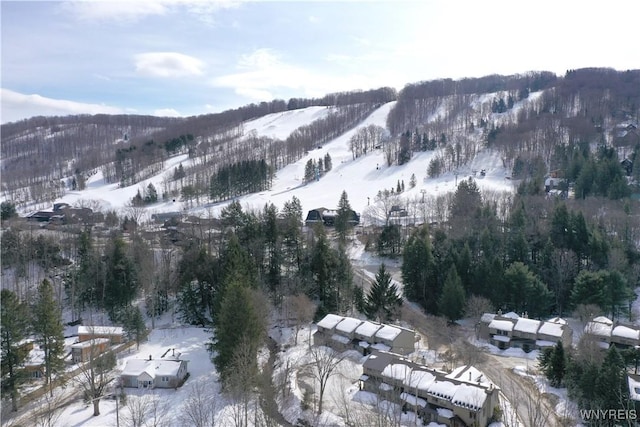 mountain view with a forest view