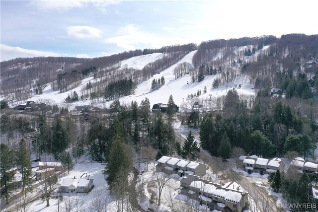 6826 Springs Rd, Ellicottville, NY 14731 - photo 49