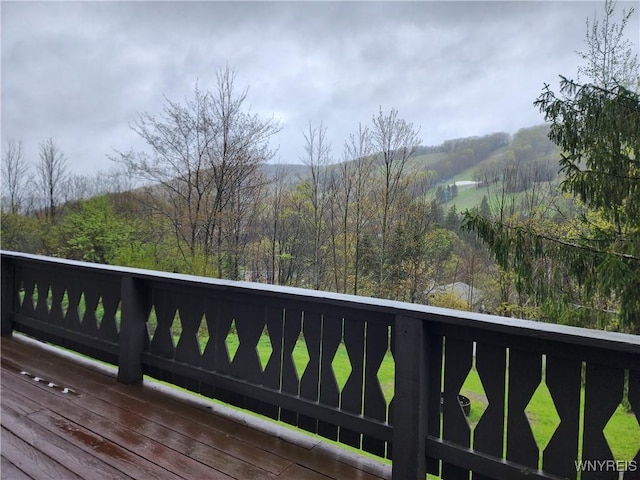 6826 Springs Rd, Ellicottville, NY 14731 - photo 48