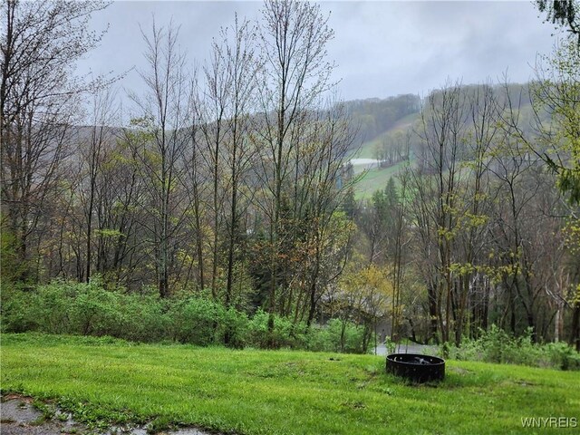 6826 Springs Rd, Ellicottville, NY 14731 - photo 47