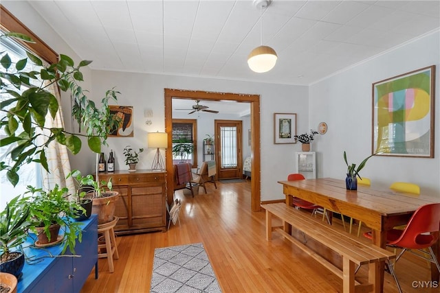 interior space with light wood finished floors and crown molding