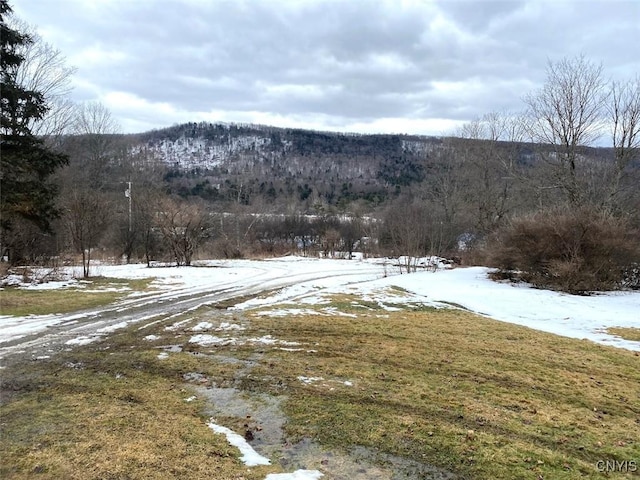 Brad Adams Rd, Wellsville NY, 14895 land for sale