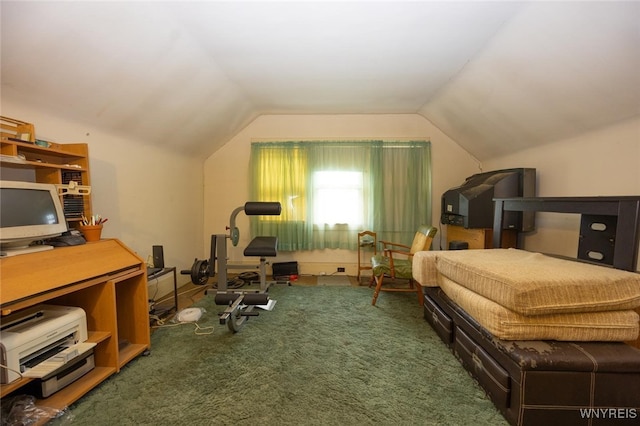 interior space featuring vaulted ceiling