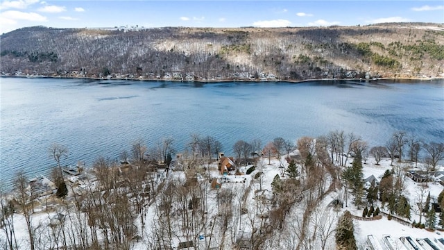 water view with a mountain view