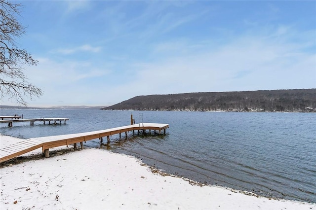 view of dock with a water view