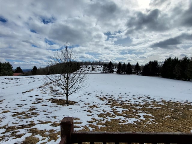 view of snowy yard