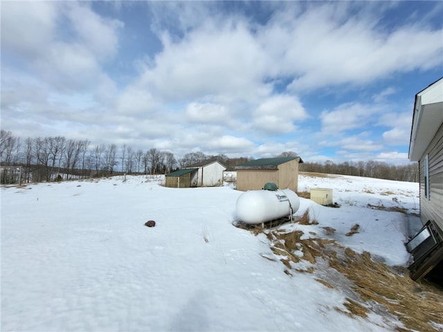 snowy yard with an outbuilding and a storage shed