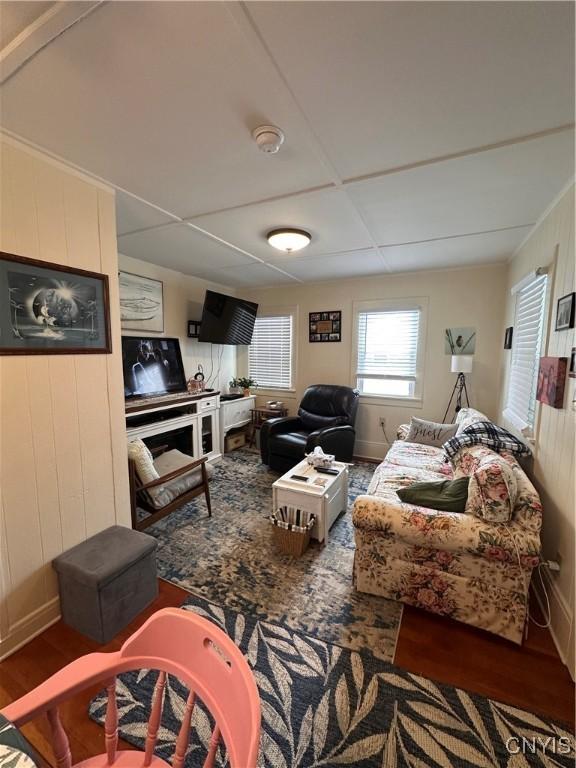 living area with wood walls and wood finished floors