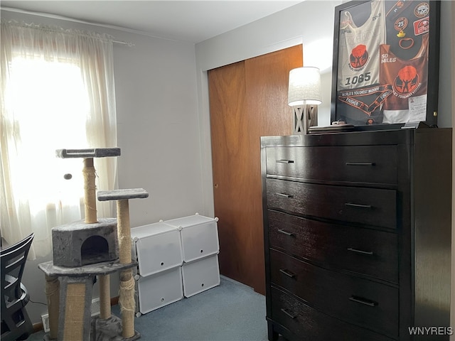 view of carpeted bedroom