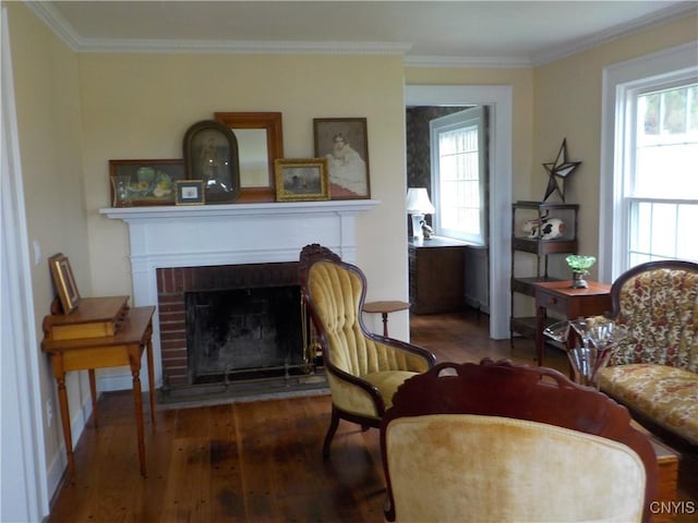 sitting room featuring crown molding, plenty of natural light, a fireplace, and wood finished floors